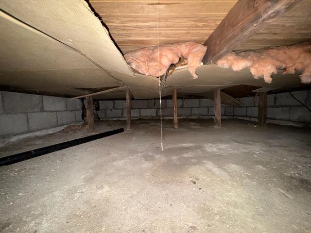 Crawl Space