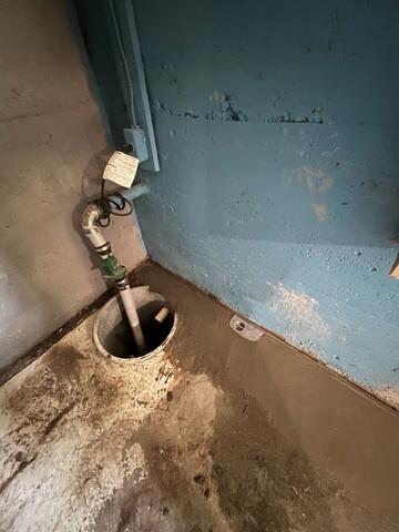 WaterGuard Tied into Existing Sump Pump