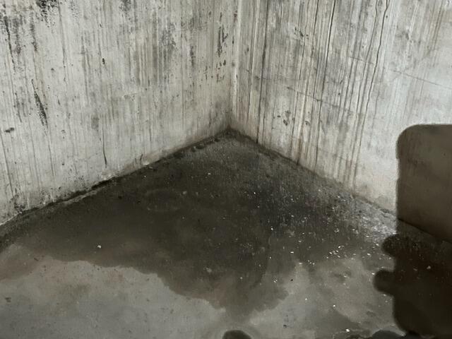 Wet Basement