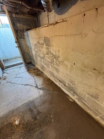 Wet and Water Damaged Basement