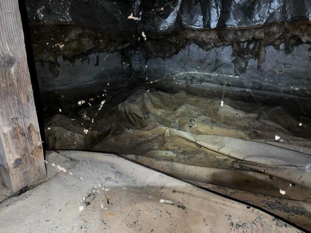 Moisture Damaged Crawl Space.