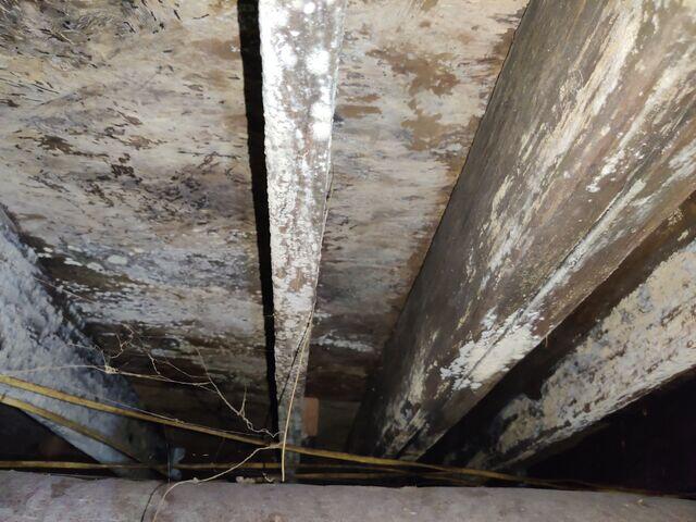 Moisture Issues