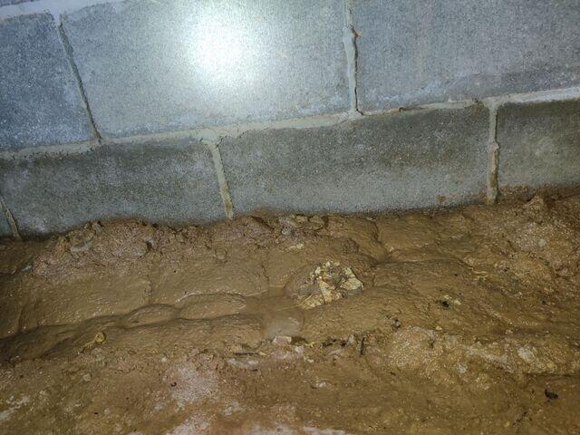 Water Damage