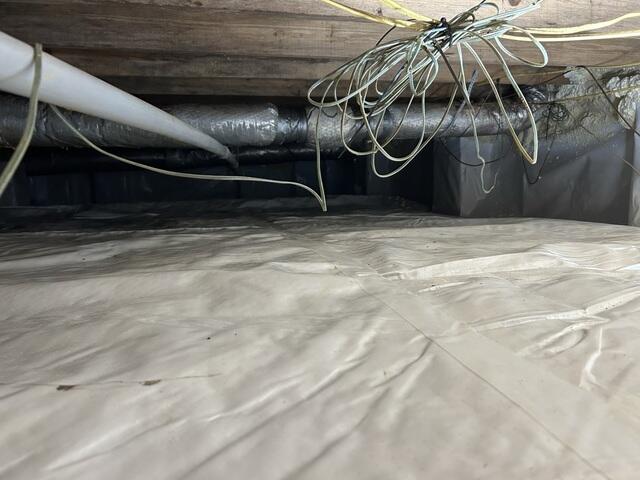 CleanSpace Liner