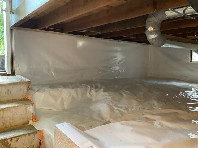CleanSpace