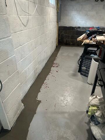WaterGuard Drainage System