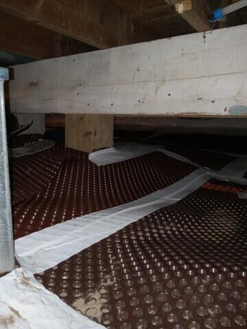 Drainage membrane