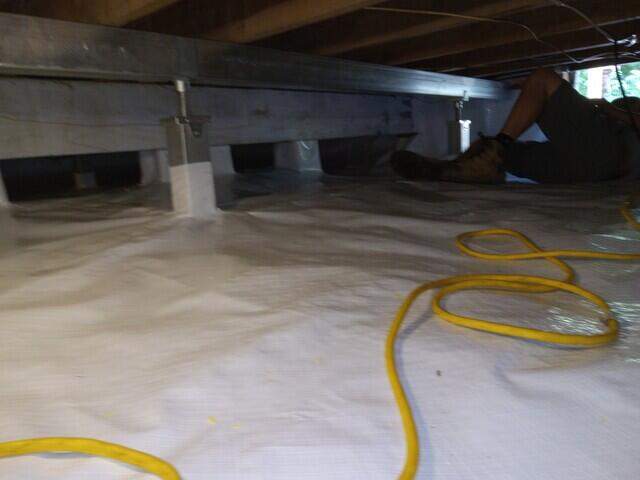 Cleanspace Liner.