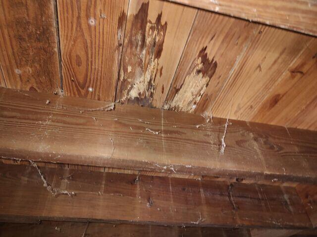 Floor Joist Wood Rot