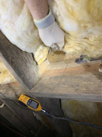 Mold Growth