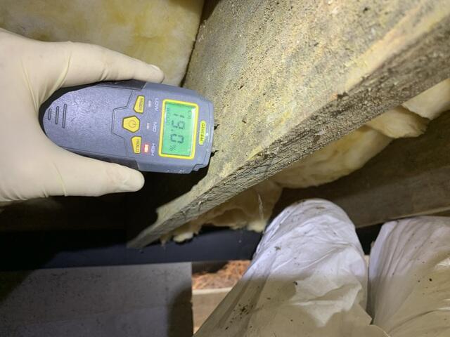 Wood Moisture Content