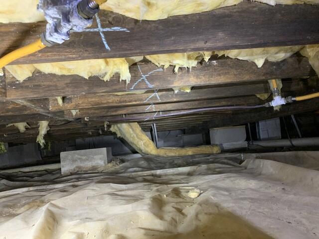 Water Infiltration & Joists