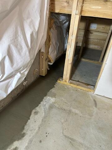 WaterGuard Drainage System