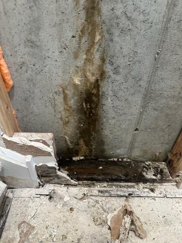 Signs Of Water Seepage