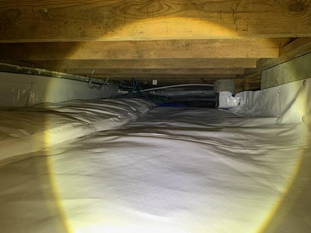 Mold Remediation