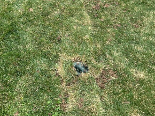 Drainage Line