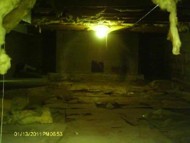 Crawl Space from a Horror Movie