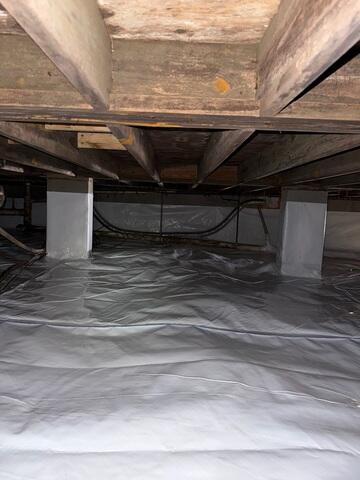 CleanSpace System