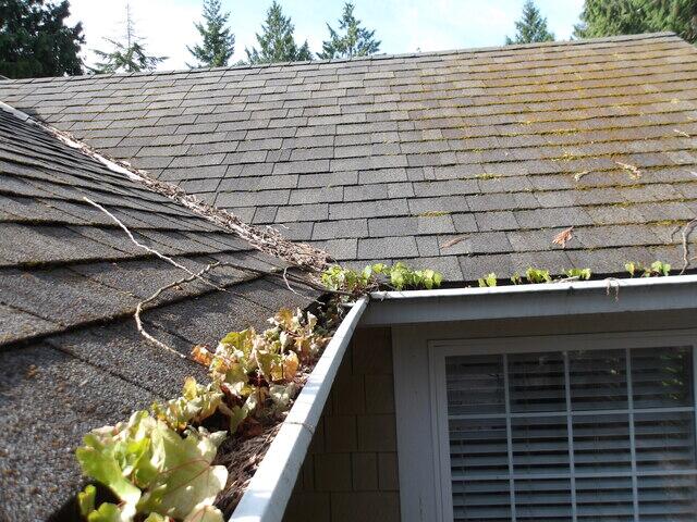Gutters Before