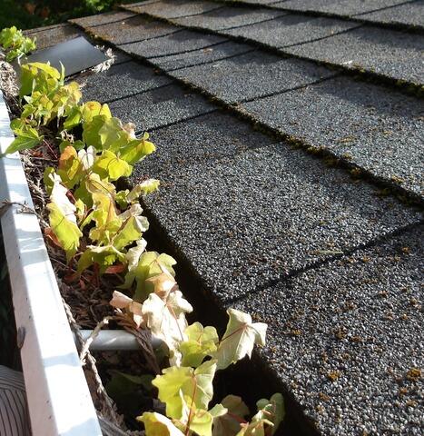 Gutters before