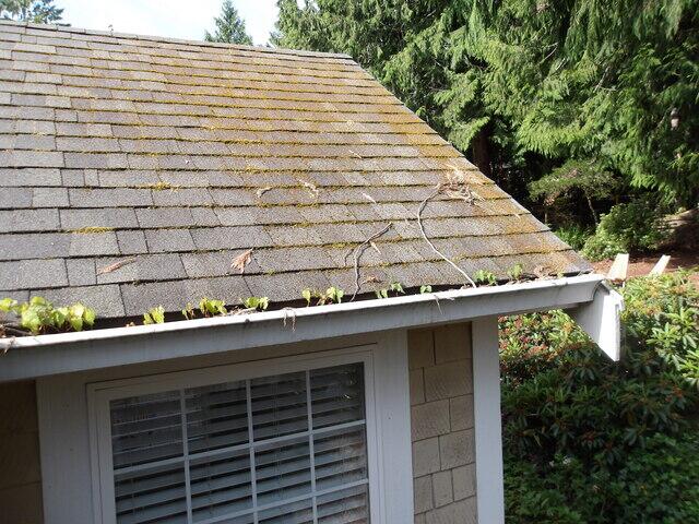 Gutters Before