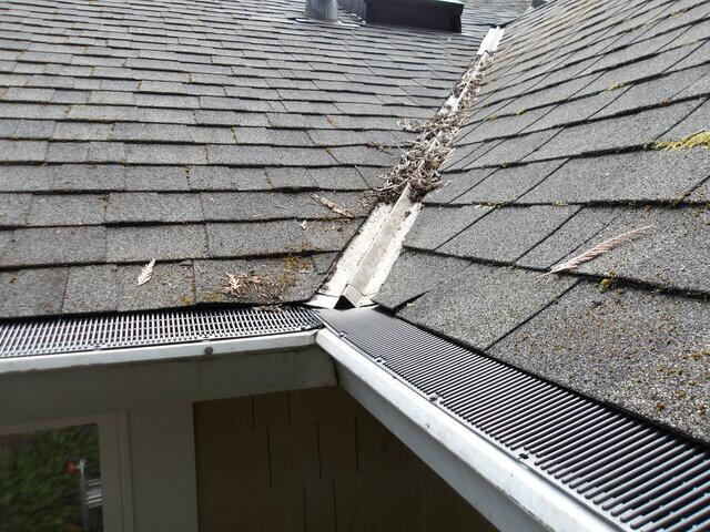Gutter Guards