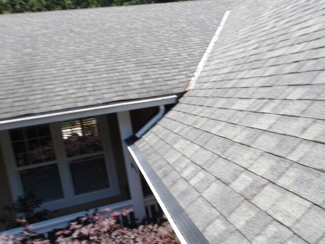 RainDrop Gutter Guards