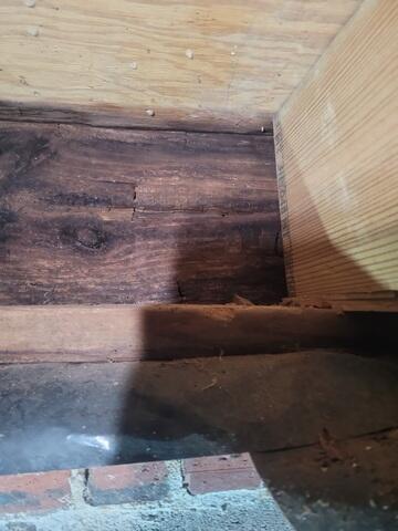 Wet Crawl Space Wood