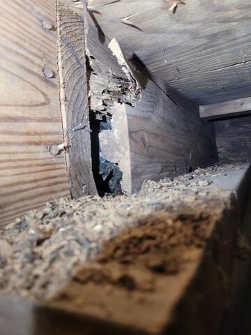 Rotted Joists