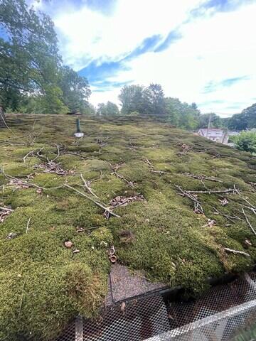 Thick moss on this roof