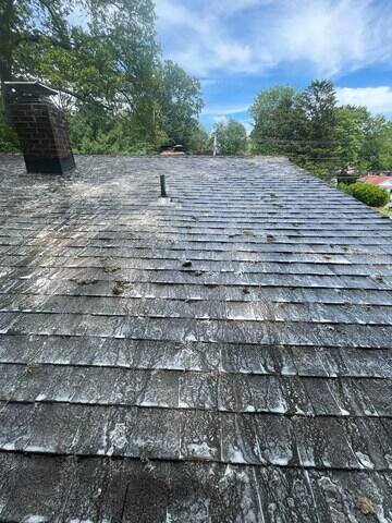 Moss removed from roof