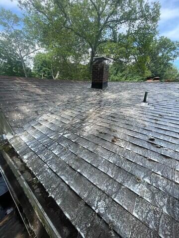After Moss Removal and Treatment