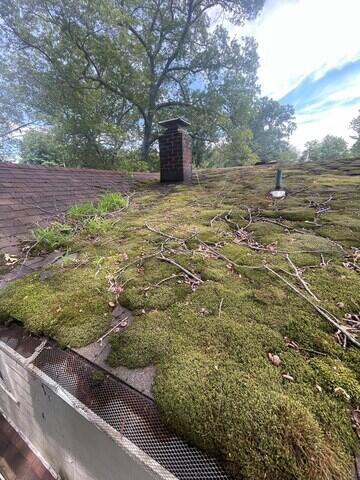 Moss on roof
