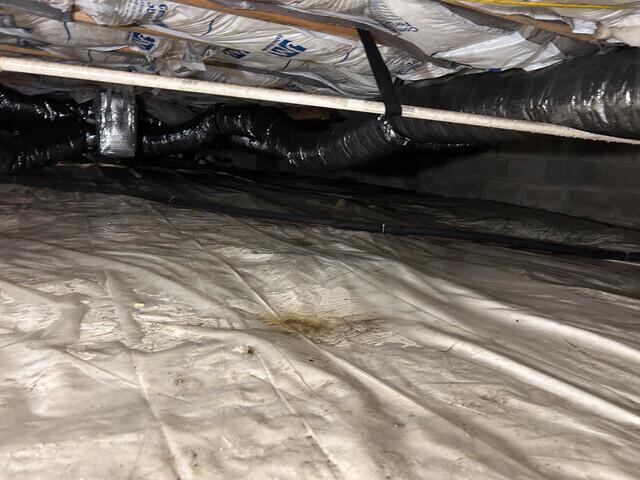 Existing Liner