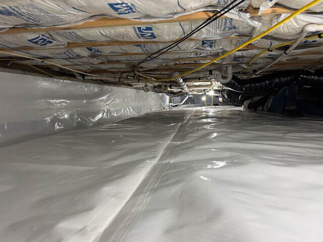 CleanSpace