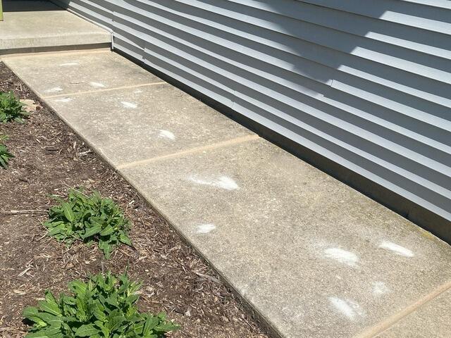 Leveled Sidewalk