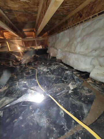 Old Vapor Barrier