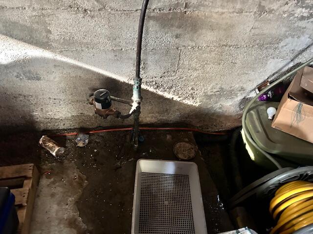Before WaterGuard & TrenchDrain