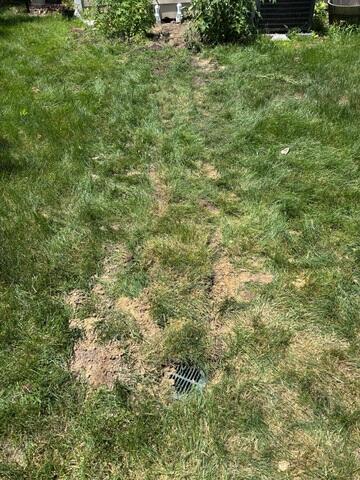 LawnScape
