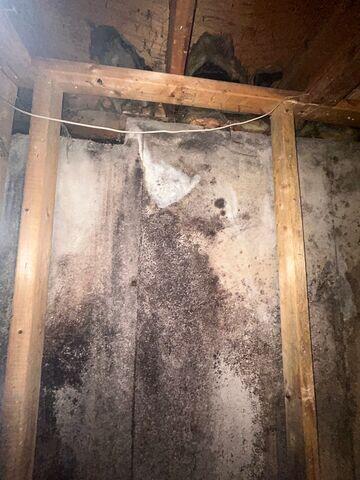 Wall Severely Damaged by Moisture and efflorescence