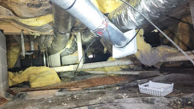 Crawl Space During Inspection