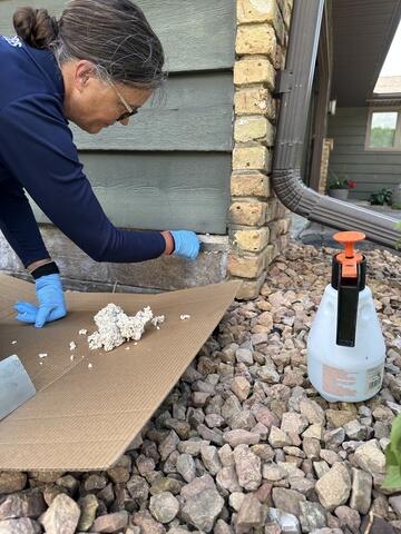 Finishing Touches from Bonnie