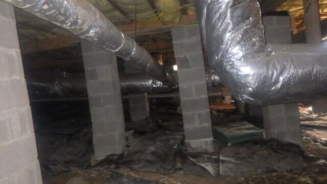 The Crawl Space Before