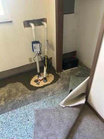 TripleSafe™ Sump Pump