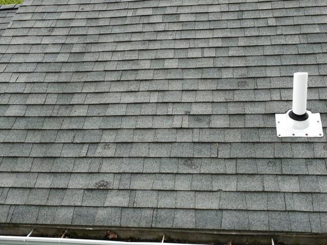 Before: Shingle Pattern Baldness
