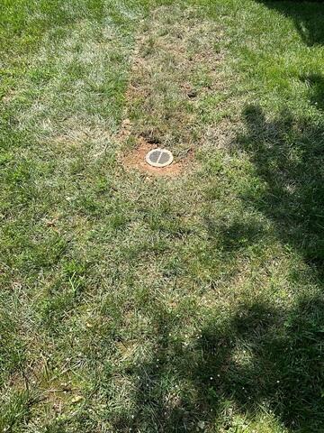 LawnScape