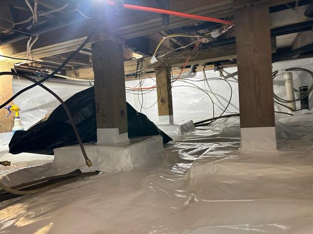 CleanSpace