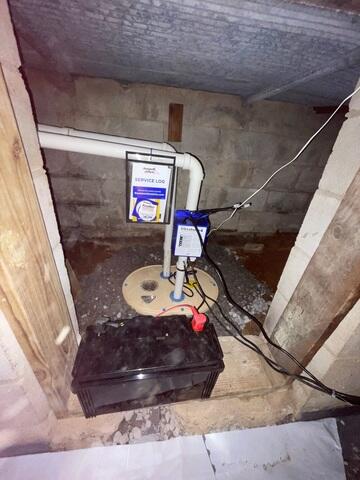 TripleSafe Sump Pump