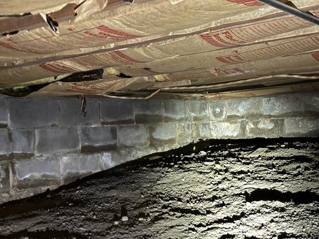 Signs of a Wet Crawl Space
