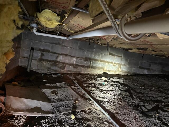 Dusty, Mildewy Crawl Space